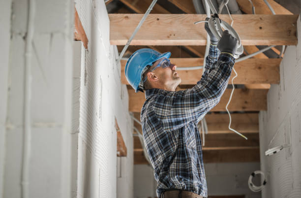 Best Electric Panel Repair  in Leadwood, MO